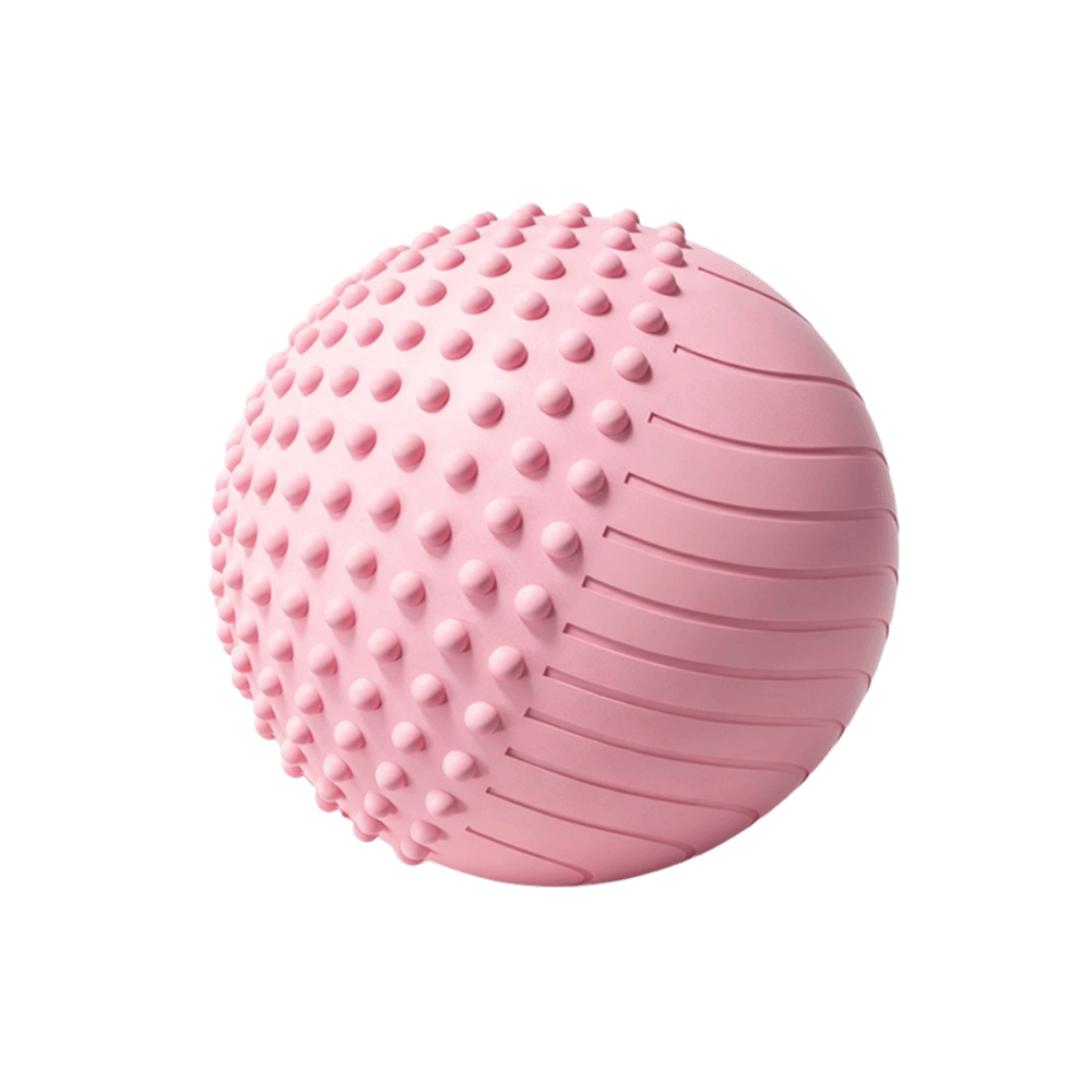 Ev Tipi 25 cm Pilates Egzersiz - Pilates Yoga Ball Workout incelemesi ve fiyatı